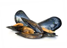 Three Mussels