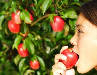 Wall Mural - Woman eating apple