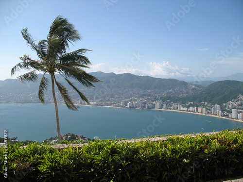 Tapeta ścienna Acapulco
