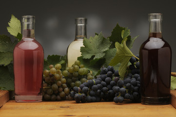 Canvas Print - Aceto di vino