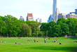 Central park in New York, USA