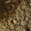 Cracked ground - global warming concept