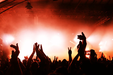 Cheering crowd at concert