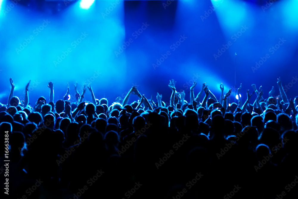 Cheering crowd at concert - obrazy, fototapety, plakaty 