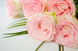 Bouquet of five tender pink roses lying on white