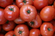 Tomaten auf Markt