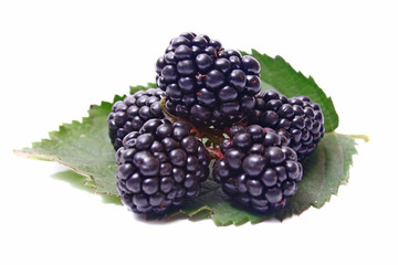 blackberry