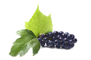 blue grapes