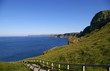Cliff pathway, Northern Ireland's coastline