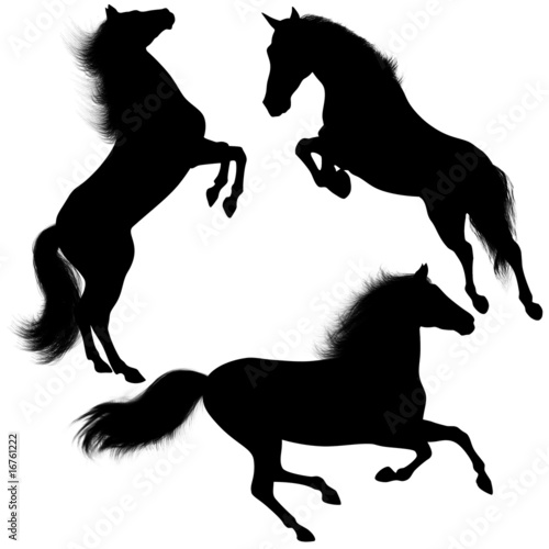 Nowoczesny obraz na płótnie Cavallo selvaggio Sagome-Wild Horse shapes-Cheval Silhouette-2