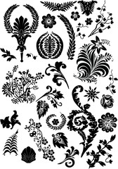 Canvas Print - black floral elements for decoration