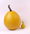 © Thomas Graham - big and smal pumpkin