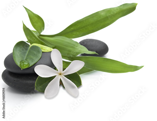 Naklejka na szybę Stones with green leafs and white flower