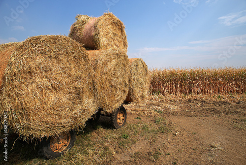 Balle Di Stoppia Buy This Stock Photo And Explore Similar Images At Adobe Stock Adobe Stock