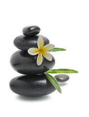 Wall Mural - Spa still life, Stack of pebbles with yellow flower