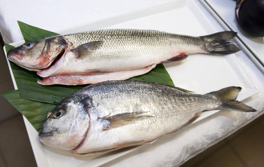 seabass and gilthead bream prepared for cooking