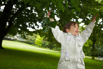 Wall Mural - Child on tree