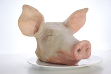 Pig's Head On A Plate And White Background