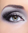 © Valua Vitaly - Make-up of woman eye with grey eyeshadows