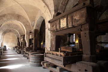 Fototapete - Altes Gewölbe auf einem Weingut