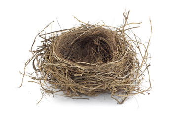 Bird nest