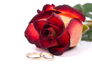 Rose and wedding rings