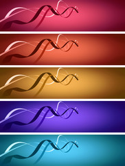 path strand banner in 5 colors