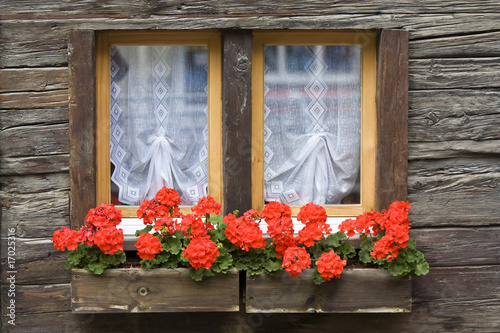 Plakat na papierze fotorealistycznym Okno z kwiatkiem
