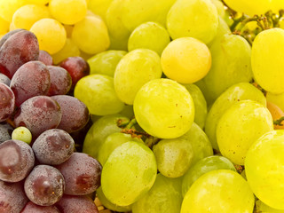 Wall Mural - grape