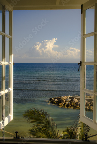 Foto-Lamellenvorhang - Looking at the Ocean (von Picturellarious)