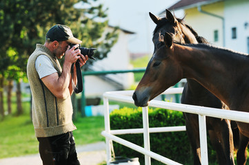 photographer and horse