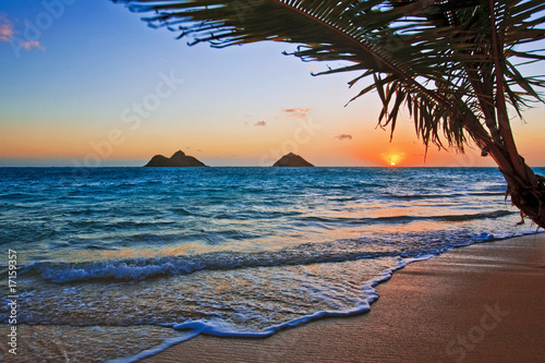 Fotoboard na płycie Pacyficzny wschód słońca przy lanikai plażą, Hawaii