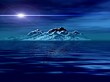 © elen_studio - Starry glow