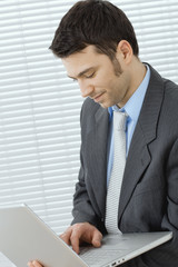 Poster - Businessman using laptop computer