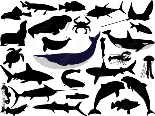 Nowoczesny obraz na płótnie collection of aquatic life vector silhouettes