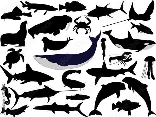 Fototapeta na wymiar collection of aquatic life vector silhouettes