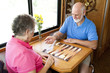 © Lisa F. Young - RV Seniors Playing Board Game