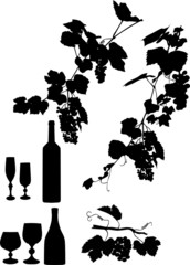 Wall Mural - wine and vine