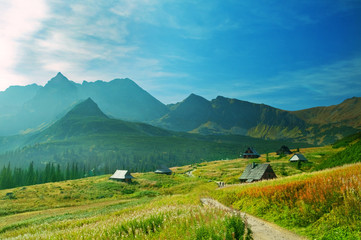 Mountains landscape