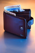 wallet with euro