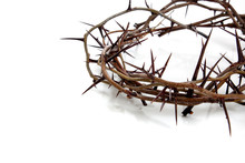 Crown Of Thorns On A White Background