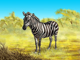 Fototapeta  - Zebra