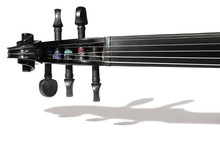 5-string Black Violin