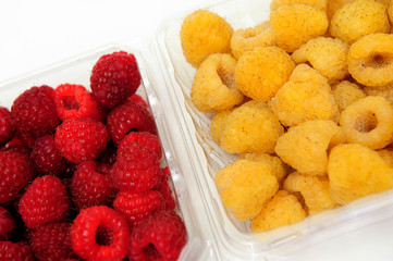 Red And Golden Raspberry