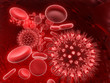 Virus in Blood