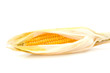 One mais corn over white background