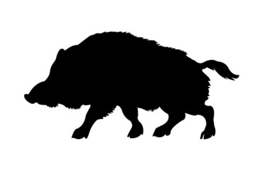 Wall Mural - silhouette of the wild boar isolated on white background