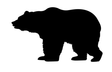 silhouette bear isolated on white background
