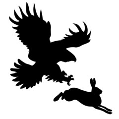 Wall Mural - silhouette of the ravenous bird attacking hare