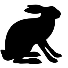 Wall Mural - illustration hare isolated on white background